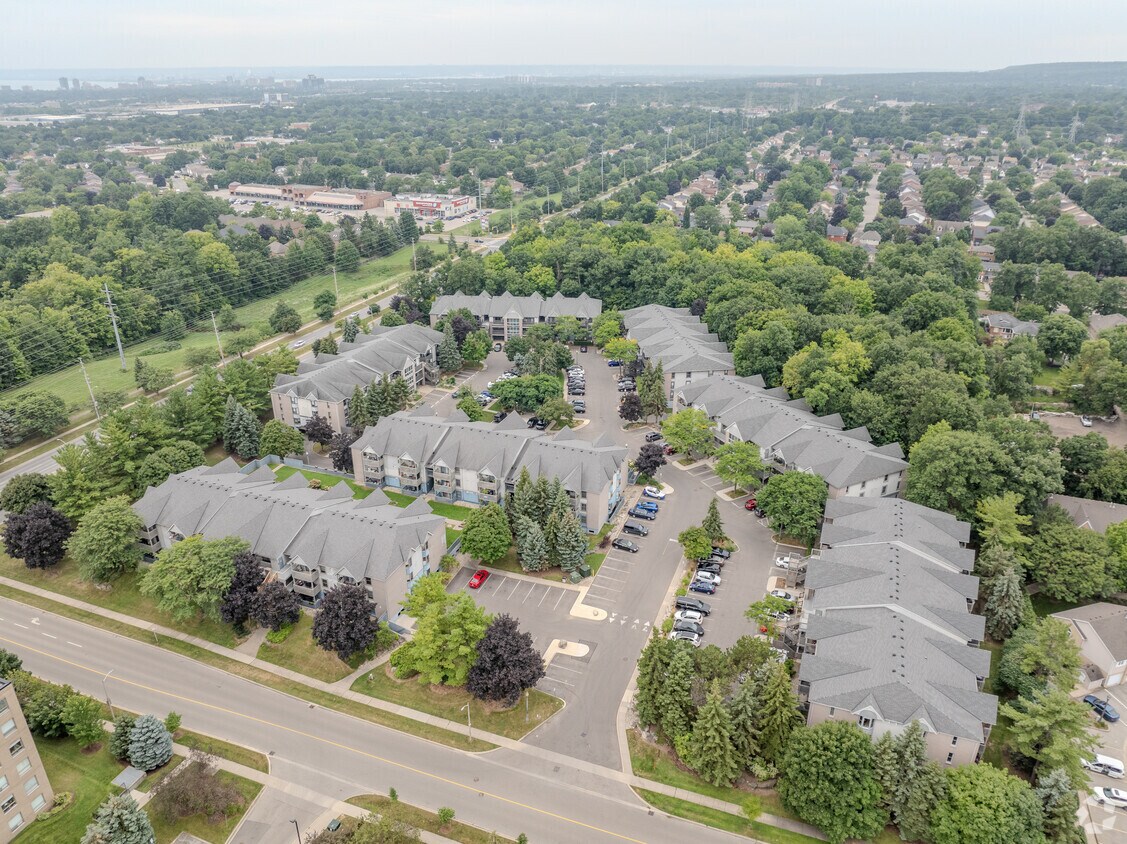 Aerial Photo - Forest Chase