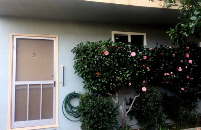 Foto del edificio - NEW LISTING! Walk 1 Block To Downtown! LG. 1 BR/1BA, Hdwd Flrs,Big Walk-In Closet!