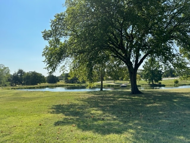 Parque Jones 2 - Four Seasons