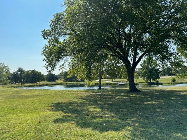 Parque Jones 2 - Four Seasons