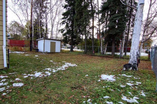large fenced yard w/ shed - 401 Cowles St