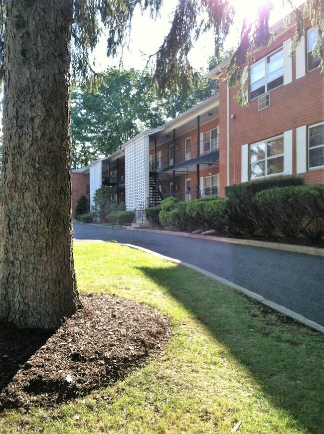Building Photo - 399 Grove St