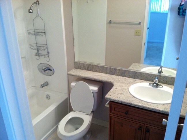 Foto del edificio - 210 Reflections Dr