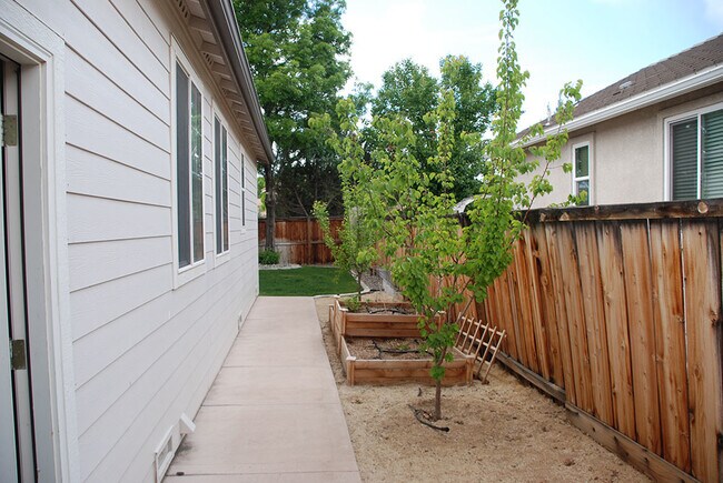 Building Photo - D'Andrea Single Story 3 BR Home on Corner Lot