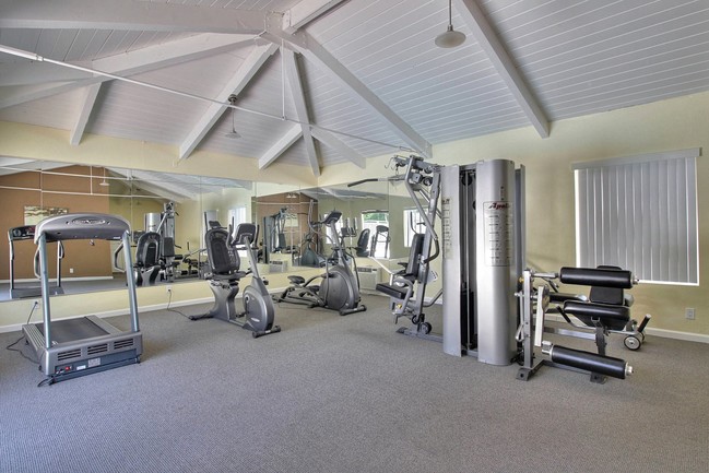 Fitness Center - The Luxe