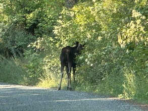 Building Photo - 19602 E Onyx Ln