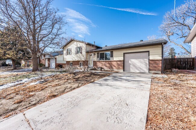 Foto del edificio - Beautiful updated 4 bed 2 bath Widefield h...