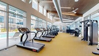 This generously sized fitness center offers a bright, open workout environment defined by soaring ceilings and expansive floor-to-ceiling windows that flood the space with natural light and provide views of the surrounding outdoor amenities, including a pool area and landscaped grounds. The architectural design features a striking slatted wood ceiling with exposed industrial-style ductwork and large ceiling fans, creating a modern yet functional aesthetic throughout.

The main workout floor is finished with durable, cushioned carpet in a warm gold tone, providing comfort underfoot across the entire exercise area. A robust row of treadmills lines the windowed perimeter, allowing users to enjoy outdoor views during cardio sessions. Complementing the cardio zone, the space also includes elliptical trainers, stationary bikes, and cable machines to support a full range of workout routines.

The strength training area is equally well-appointed, featuring a power rack with a bench press station, a multi-functional cable machine, a pull-up and dip station, and a well-stocked dumbbell rack. A mirrored wall section expands the visual depth of the space while providing a dedicated stretching and free-weight training area. The fitness center is bathed in natural light from multiple directions, offering an energizing and motivating environment for users of all fitness levels.