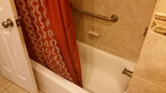 1st floor bathroom - 31 Coachwood Ln