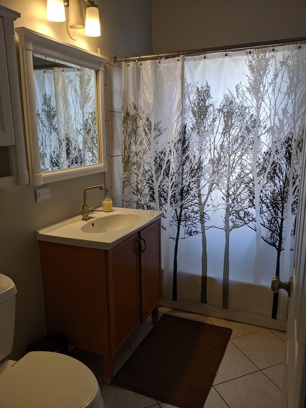 Bathroom - 4363 N Lincoln Ave