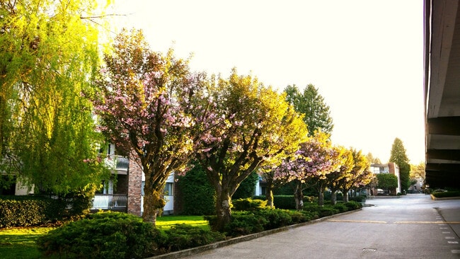 Building Photo - Cedar Lodge Apartments