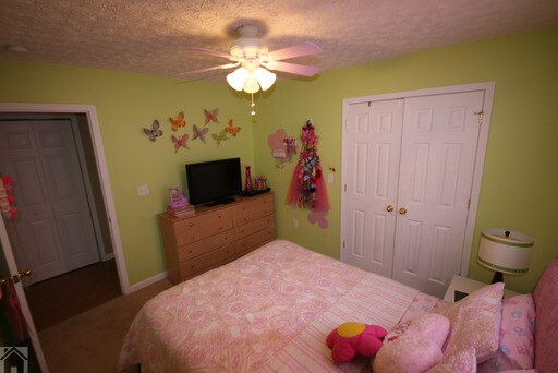 Building Photo - 158 Bosa Dr