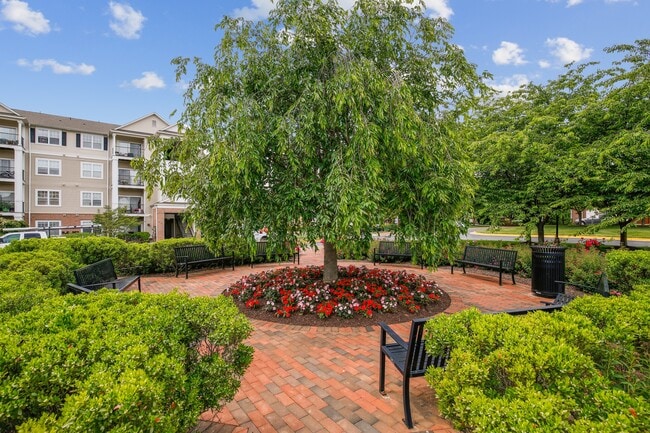 Photo - 19625 Galway Bay Cir (Germantown, MD) Apartment