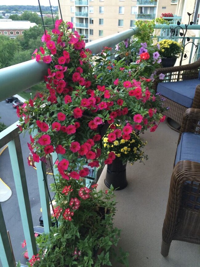 patio con jardín - 501 Slaters Ln