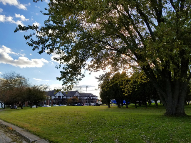 Building Photo - Cedar Grove Apartments