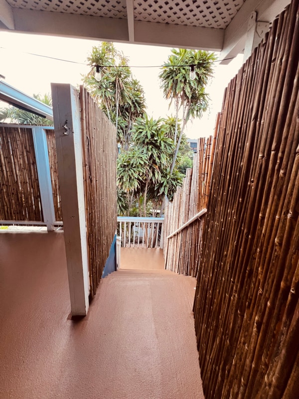 Building Photo - 293 Alaume St