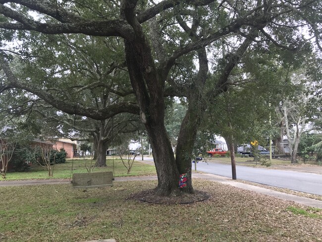 Front yard - 2108 Sandalwood Pl