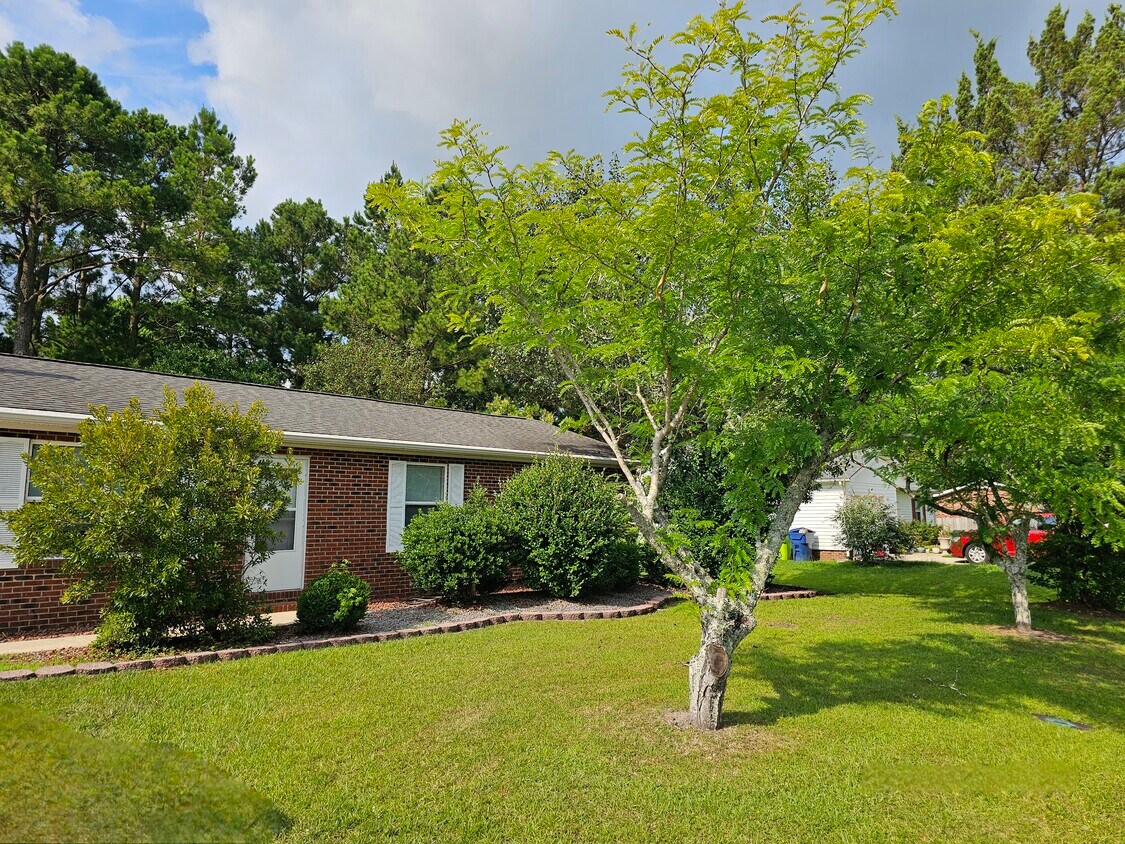 Front door - 419 Rams Rd