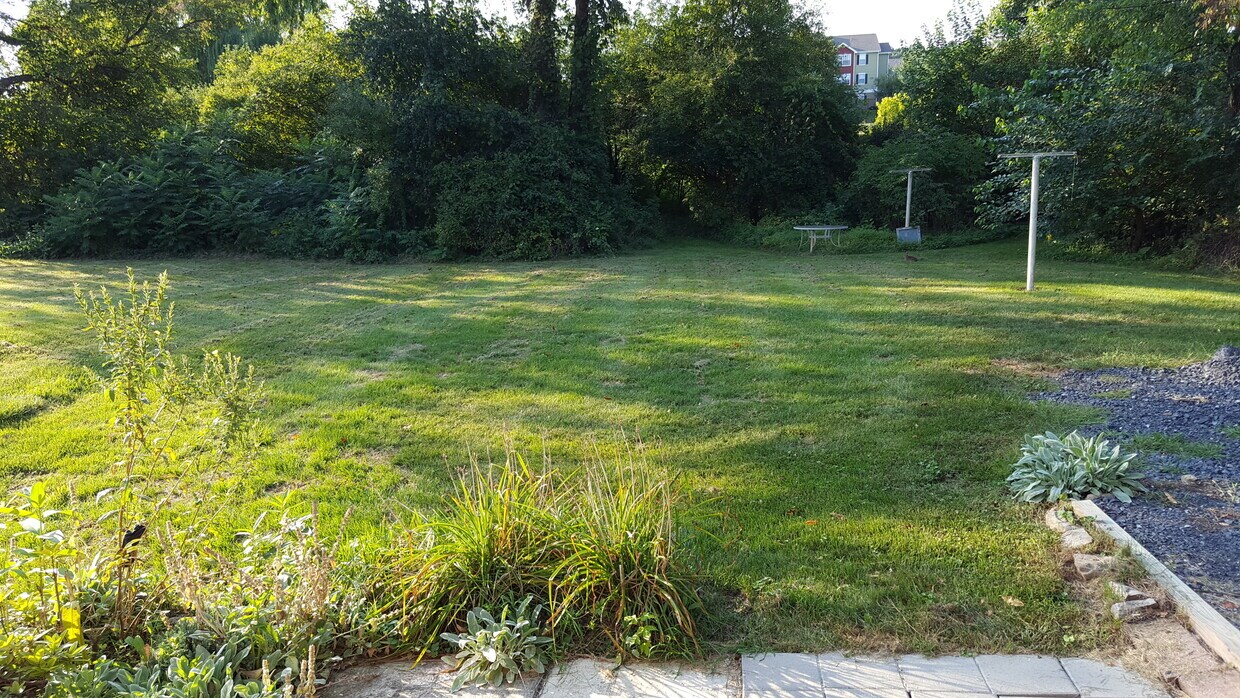 Big Yard - 145 Suburban Ave