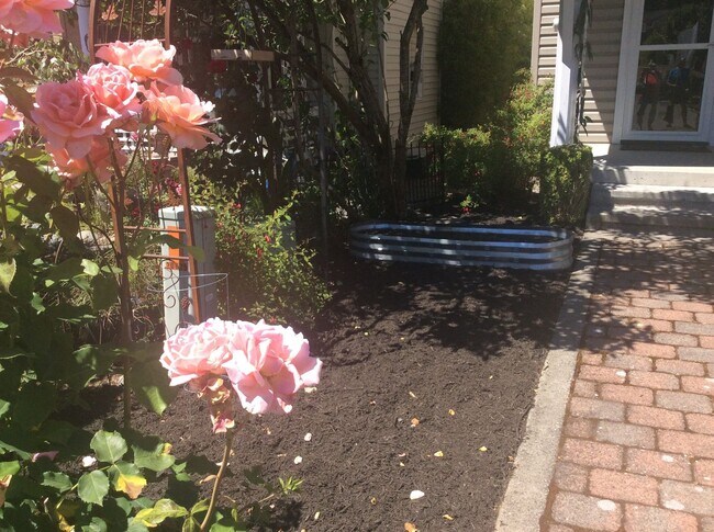 Building Photo - Charming 3 Bedroom Home - Available Now! Seatac area