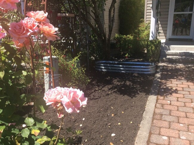 Foto del edificio - Charming 3 Bedroom Home - Available Now! Seatac area