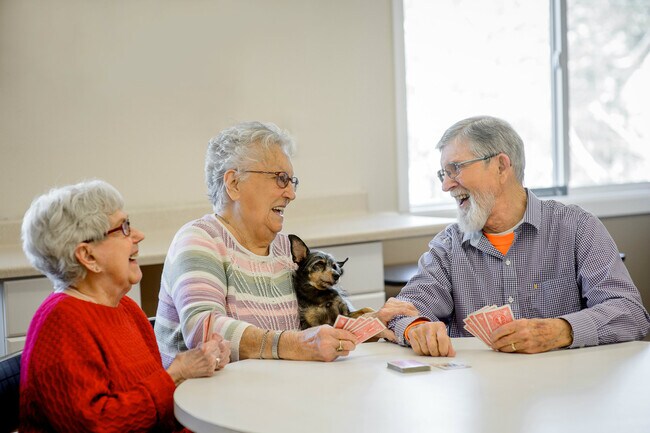 Actividades dirigidas por el director de actividades - Bestland Independent Living