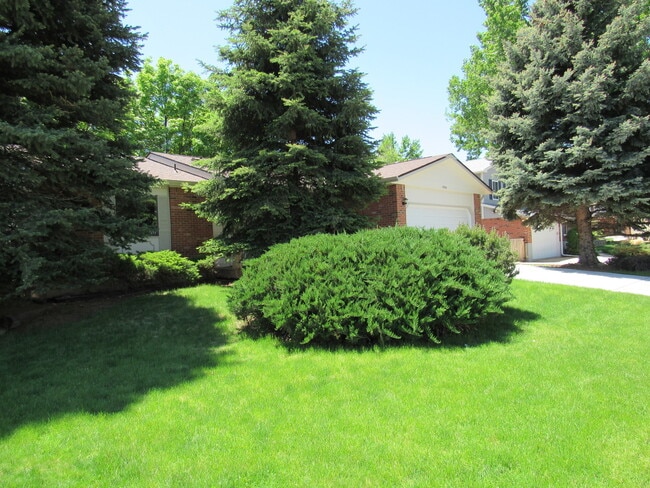 Immaculate Ranch with Large Backyard and Basement in Arvada - Immaculate Ranch with Large Backyard and Basement in Arvada House