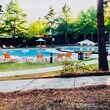 Foto principal - The Woodlands