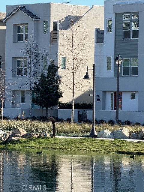 Foto del edificio - 41 Little Owl Ct