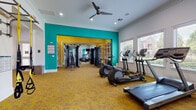 This fitness center is a thoughtfully designed, multi-zone facility that caters to a wide range of workout preferences. The space is distinguished by its vibrant teal and yellow accent walls, white crown molding, and golden-toned patterned carpet flooring, creating an energetic and welcoming atmosphere throughout.

The cardio zone features multiple treadmills and elliptical machines positioned along a wall of large windows, flooding the area with natural light and offering pleasant outdoor views. Ceiling fans overhead ensure comfortable airflow during workouts.

A dedicated strength training area houses a multi-station cable machine, a power tower for pull-ups and dips, a rack of dumbbells in varying weights, medicine balls, and a wall-mounted barbell. Floor-to-ceiling mirrors amplify the sense of space and allow for proper form checks.

The functional training zone is equipped with TRX suspension straps mounted to a wall-installed ladder frame, along with plyometric boxes for versatile bodyweight and agility training.

A separate flex area provides a spacious open floor plan ideal for stretching or group exercise, anchored by built-in shelving stocked with yoga mats, balance trainers, and accessories. A flat-screen TV is mounted at eye level, and recessed lighting illuminates the entire space. Workout reference charts are posted throughout for guided training.