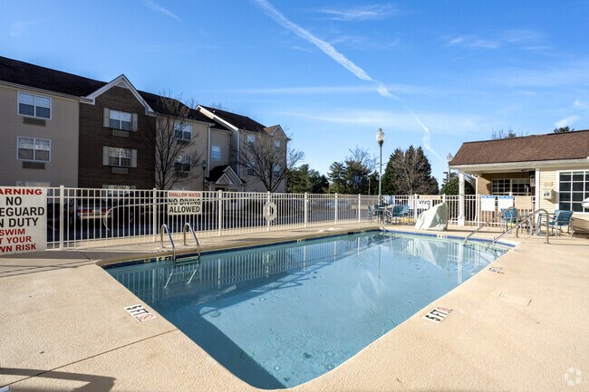 Piscina - Vivo Living Apartments