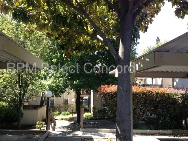 Building Photo - 385 Camelback Rd