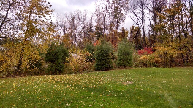 Backyard - 1503 Hobart Ave