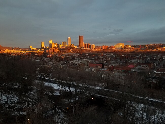 City Skyline View - 115 Pius St