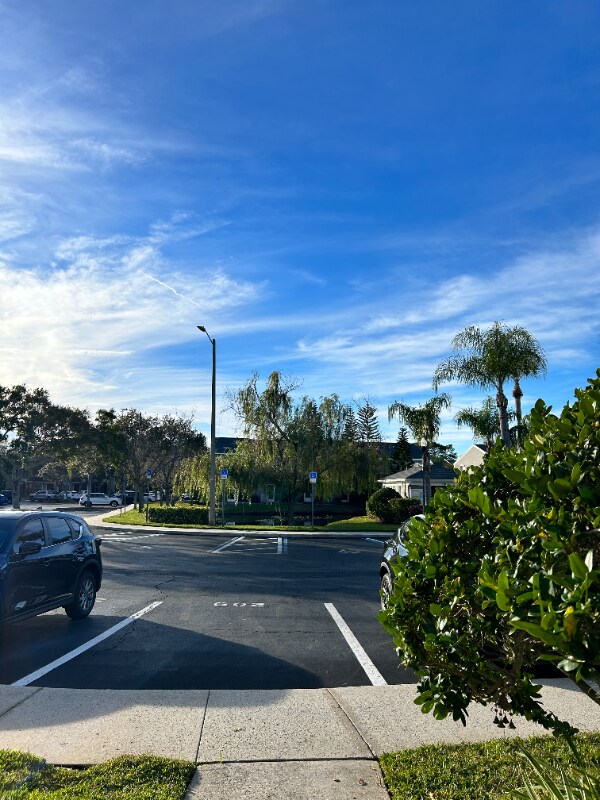 Foto del edificio - 211 Countryside Key Blvd