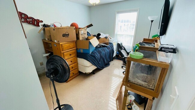 Building Photo - 292 Chinaberry Ct