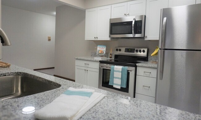 Fully renovated kitchens with new cabinets, granite countertops, stainless appliances - 1345 Idaho Ave S