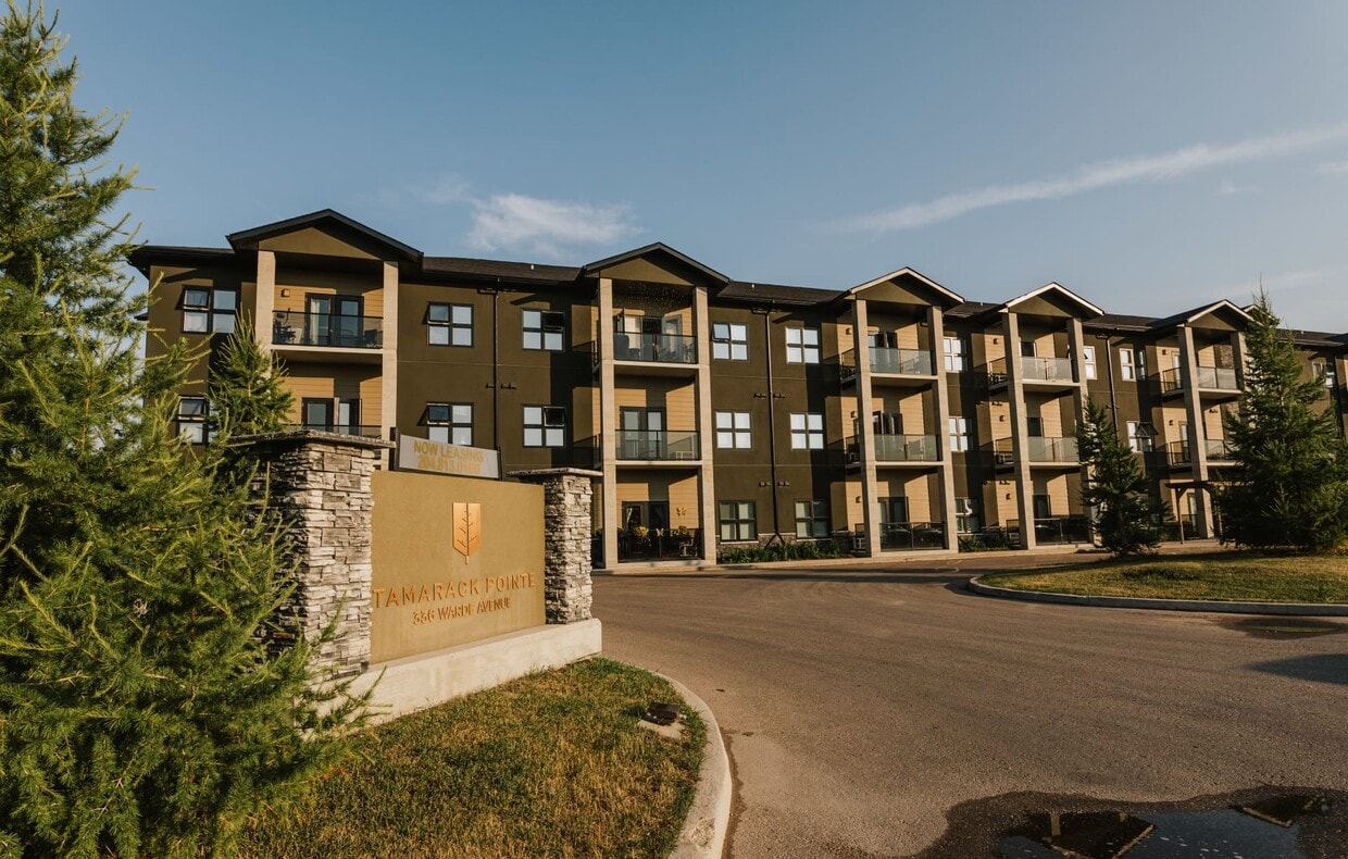 Primary Photo - Tamarack Pointe