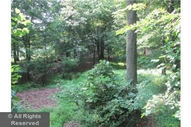 Back yard - 13316 Darnestown Rd