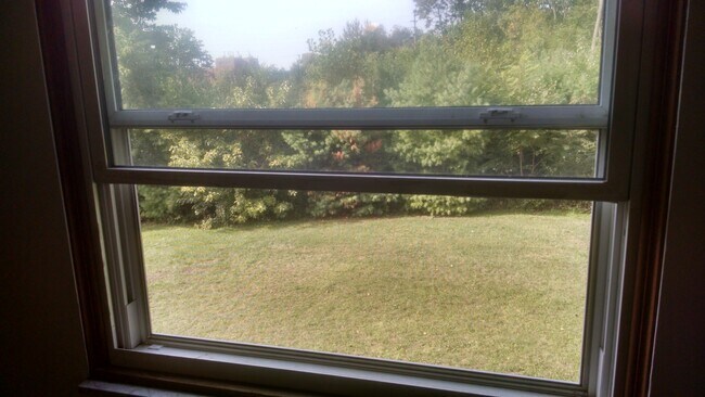 Backyard view - 1503 Hobart Ave