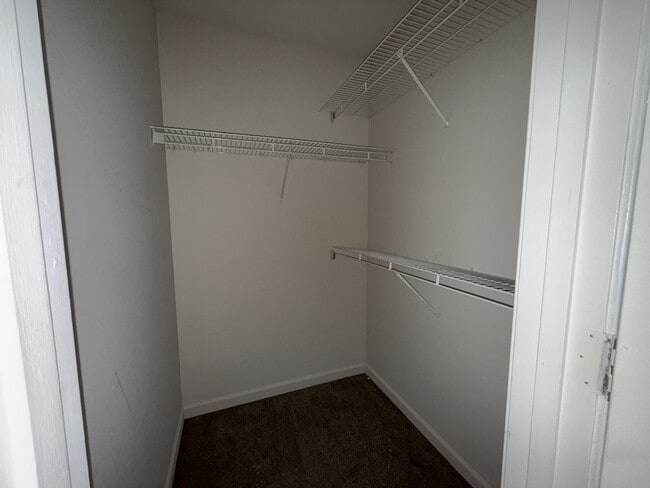Building Photo - 161 Shamrock Ln