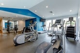 Located at 8021 Wedd St in Overland Park, Kansas, this single-floor fitness center offers a comprehensive workout environment designed with both functionality and aesthetics in mind. The space is organized across an open, flowing layout that connects multiple exercise zones through wide archways, creating a sense of spaciousness throughout.

The interior is finished with a clean white palette punctuated by bold teal accent walls, which lend a modern, energetic atmosphere. Recessed lighting throughout the ceiling ensures consistent illumination across all areas, while large windows along the perimeter invite generous amounts of natural light and provide views of the surrounding outdoor area, including what appears to be a community patio space.

The cardio zone is well-stocked with multiple treadmills, elliptical machines, a stair climber, and a rowing machine, all positioned to take advantage of the natural light and outdoor views. A flat-screen television is mounted on the teal accent wall, offering entertainment during workouts. The strength training area includes a multi-station cable machine, a rack of dumbbells arranged on a tiered stand, and an adjustable weight bench. Full-length mirrors are strategically placed to enhance the sense of space and support proper form. Durable rubber flooring throughout ensures safety and comfort during exercise.