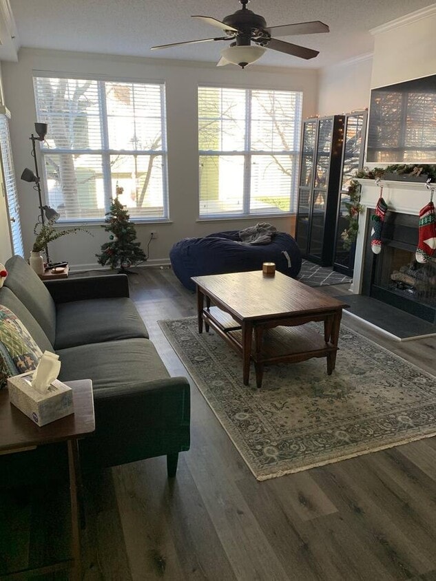 Living Room - 405 W 7th St