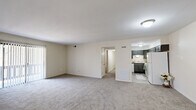 Located at 100 Timber Trail Dr in Lafayette, Indiana, this single-floor, 3-bedroom, 2-bathroom home offers a practical and comfortable layout. The open-concept living room and kitchen area anchors the home, with plush carpeting underfoot in the living space and a sliding glass door that fills the room with natural light and provides access to an outdoor area. The kitchen is well-appointed with dark gray cabinetry, light stone-look countertops, wood-look vinyl flooring, and white appliances including a range, dishwasher, and over-the-range microwave. A hallway connects the main living area to the private quarters. The generously sized primary bedroom features carpet flooring, a natural light-filled window, and access to a spacious walk-in closet outfitted with wire shelving on multiple walls. The two additional bedrooms are also carpeted and receive natural light through windows with blinds. Both bathrooms are finished with gray vanity cabinetry, white countertops, wood-look tile flooring, and a tub-shower combination. The home's neutral color palette and consistent finishes throughout create a clean, cohesive aesthetic well-suited for comfortable everyday living.