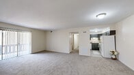 Located at 100 Timber Trail Dr in Lafayette, Indiana, this single-floor, 3-bedroom, 2-bathroom home offers a practical and comfortable layout. The open-concept living room and kitchen area anchors the home, with plush carpeting underfoot in the living space and a sliding glass door that fills the room with natural light and provides access to an outdoor area. The kitchen is well-appointed with dark gray cabinetry, light stone-look countertops, wood-look vinyl flooring, and white appliances including a range, dishwasher, and over-the-range microwave. A hallway connects the main living area to the private quarters. The generously sized primary bedroom features carpet flooring, a natural light-filled window, and access to a spacious walk-in closet outfitted with wire shelving on multiple walls. The two additional bedrooms are also carpeted and receive natural light through windows with blinds. Both bathrooms are finished with gray vanity cabinetry, white countertops, wood-look tile flooring, and a tub-shower combination. The home's neutral color palette and consistent finishes throughout create a clean, cohesive aesthetic well-suited for comfortable everyday living.