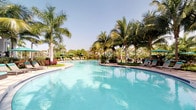 This single-story space is defined by its standout outdoor amenity: a generously sized resort-style swimming pool that serves as the centerpiece of the community. The pool features vivid turquoise water and a sweeping, curved design that invites leisurely use throughout the day. Surrounding the pool is a well-maintained deck finished in light-toned pavers, furnished with lounge chairs and seating areas ideal for relaxation. Tall, mature palm trees are planted throughout the pool area, providing natural shade and a distinctly tropical ambiance. Lush tropical landscaping, including ornamental shrubs and flowering plants, frames the perimeter, enhancing the resort-like character of the space. The open-air setting allows for abundant natural light and clear sky views, contributing to a bright and inviting atmosphere. Residential buildings are visible in the background, suggesting this pool area serves as a shared community amenity. The overall environment is carefully designed to evoke a vacation-style experience, combining thoughtful landscaping, generous open space, and well-placed seating to create an outdoor retreat suited for both active recreation and quiet relaxation.