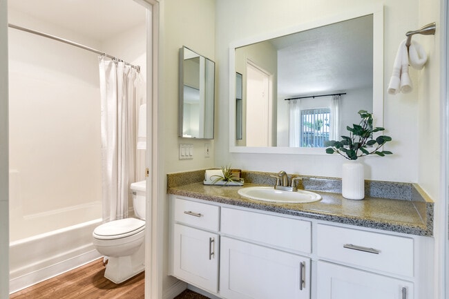 Building Photo - Monterey Pines Apartments