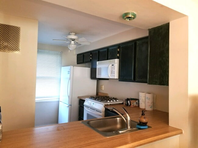 Kitchen - 1103 Bonnie Brae Dr
