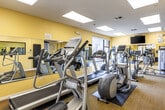 This fitness center is a thoughtfully designed, single-floor exercise facility that provides a comprehensive workout environment. The space is finished with warm yellow walls and a combination of patterned carpet and rubberized flooring, creating distinct zones for cardio and strength training activities.

The cardio area is generously equipped with multiple treadmills, elliptical machines, upright and recumbent stationary bikes, and a stair climber. Large windows along the perimeter flood the space with natural light and offer views of lush outdoor greenery, including palm trees and flowering plants, enhancing the overall workout experience. Wall-mounted flat-screen televisions are positioned throughout for entertainment during exercise sessions.

The strength training zone features a multi-station cable machine, a dedicated free weight area with a full rack of dumbbells in varying weights, a weight bench, and additional resistance equipment. Rubberized flooring in this section provides safety and durability. Full-length mirrors line the walls, amplifying the sense of space and allowing users to monitor their form.

Overhead, recessed panel lighting supplements the abundant natural light, ensuring the facility is well-lit at all times. A clock and informational bulletin board are mounted on the wall for member convenience. The space is accessible via glass-panel doors and connects to an adjacent common area, making it a functional and inviting fitness destination.