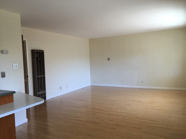 Living room 2 - 917 Liberty St